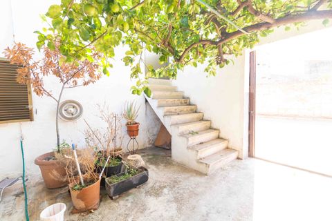 Landsbyhus i Sa Pobla, Mallorca, Sa Pobla - € 390.000 | Ref: 425536 - foto 22